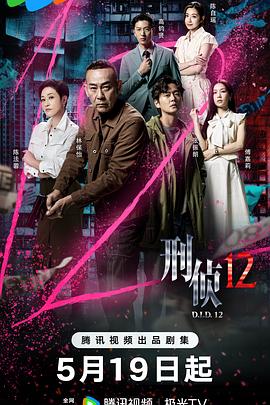 刑侦12国语海报