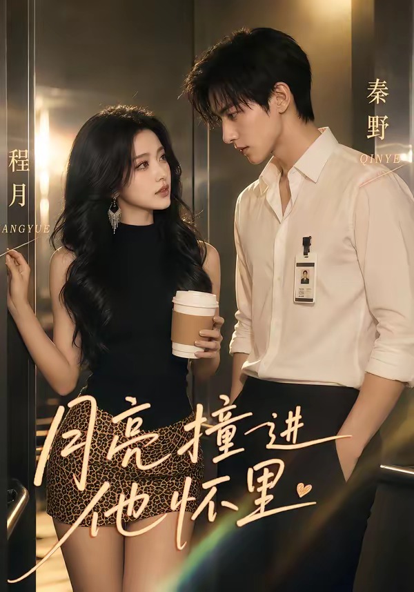 月亮撞进他怀里海报