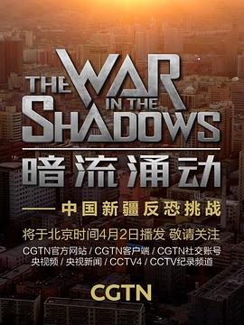 暗流涌动——中国新疆反恐挑战海报