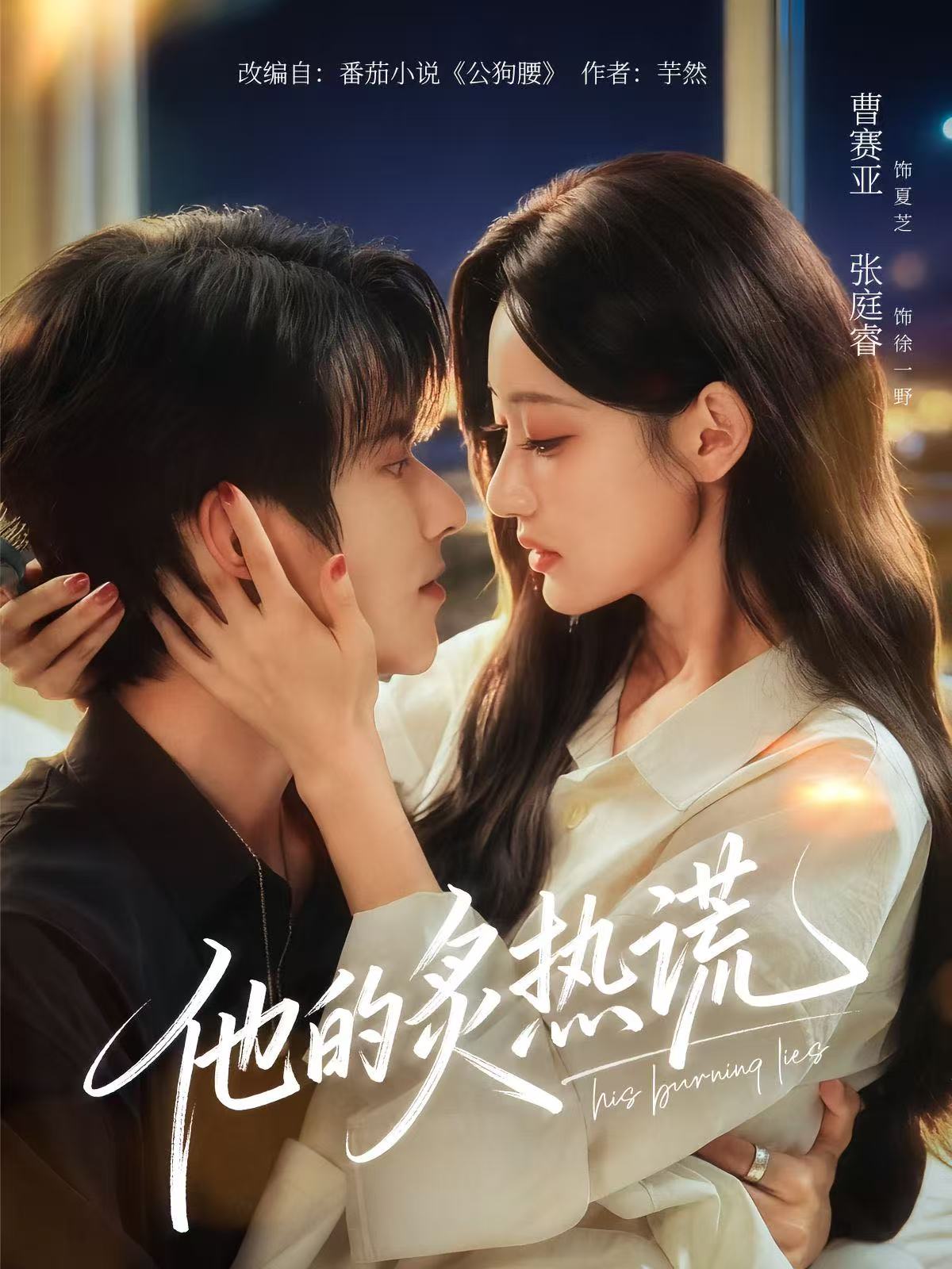 他的炙热谎海报
