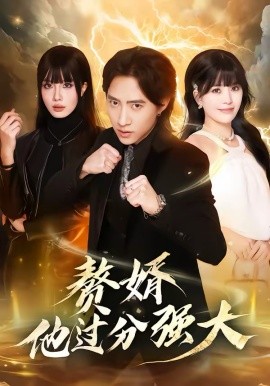 赘婿他过分强大海报
