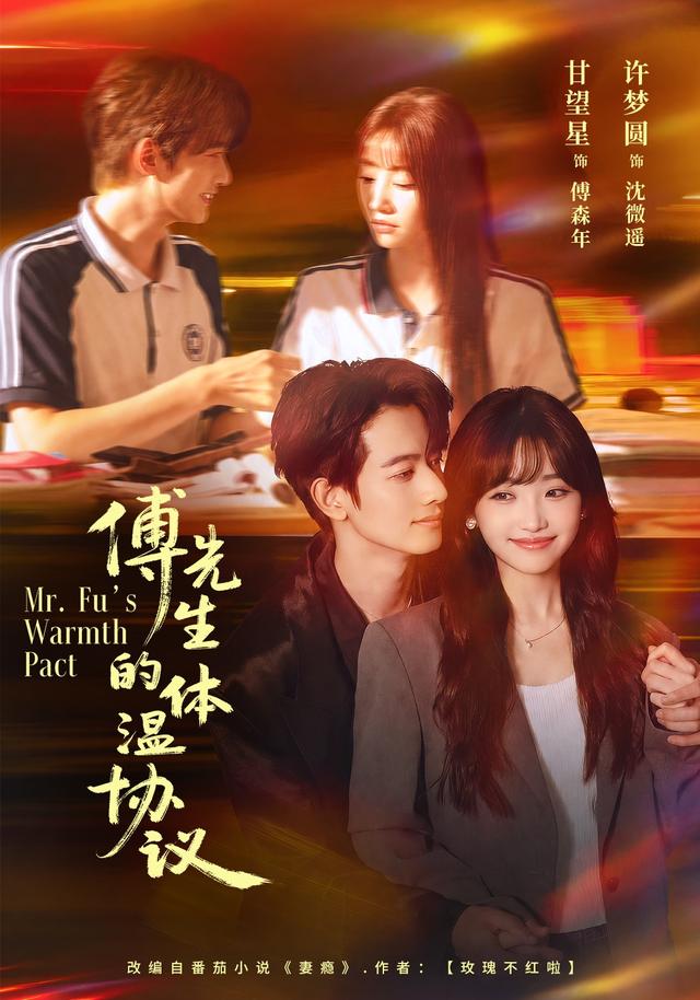 傅先生的体温协议海报