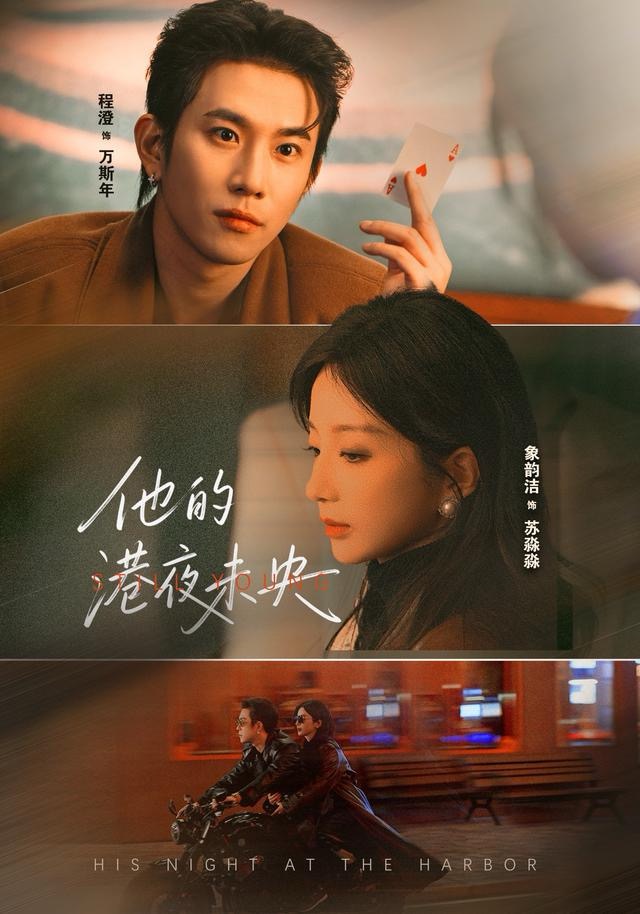 他的港夜未央海报