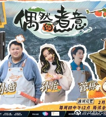 偶然的煮意海报