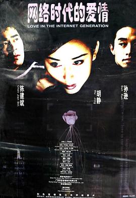 网络时代的爱情海报