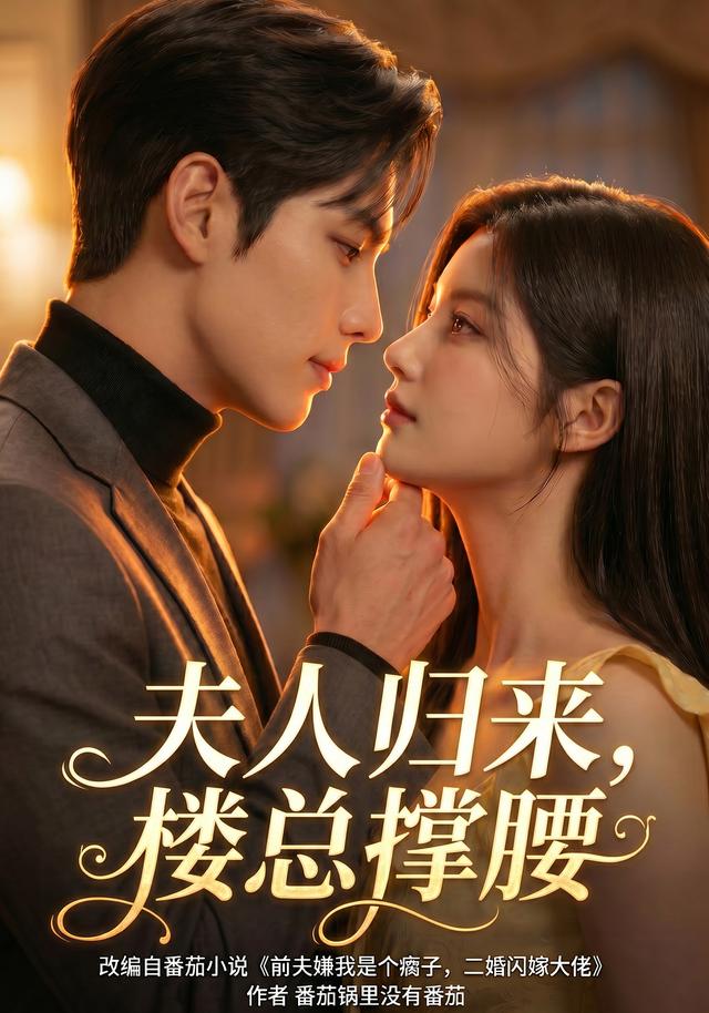 夫人归来，楼总撑腰海报