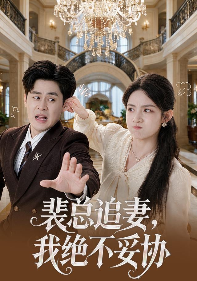 裴总追妻，我绝不妥协海报