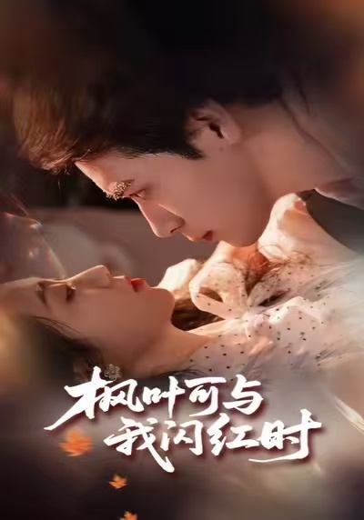 枫叶可与我闪红时海报