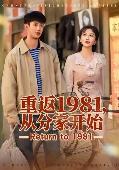 重返1981，从分家开始海报
