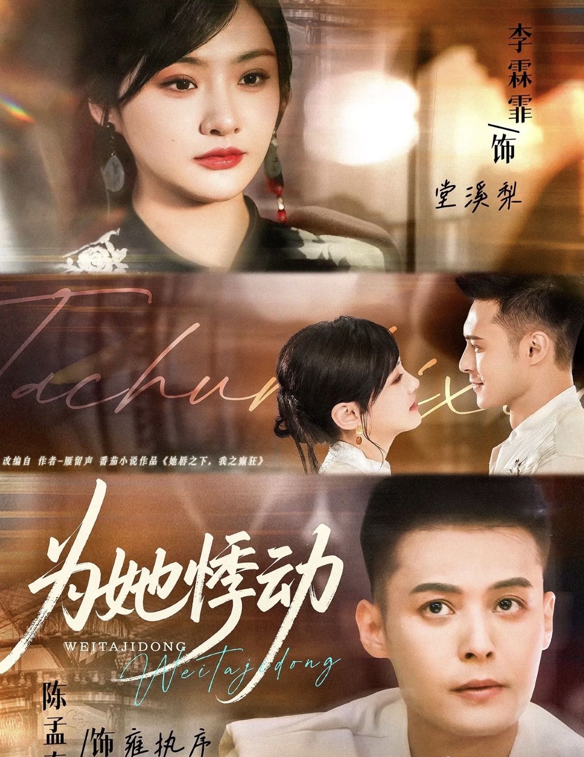 为她悸动海报
