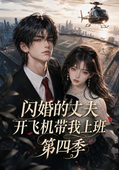闪婚的丈夫开飞机带我上班第四季海报