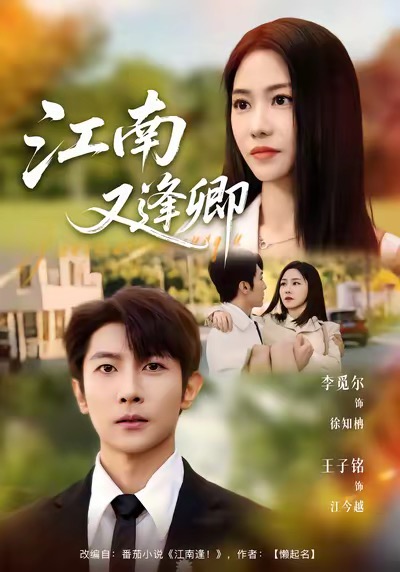 江南又逢卿海报