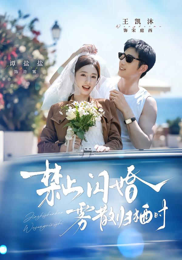 禁止闪婚，雾散归栖时海报