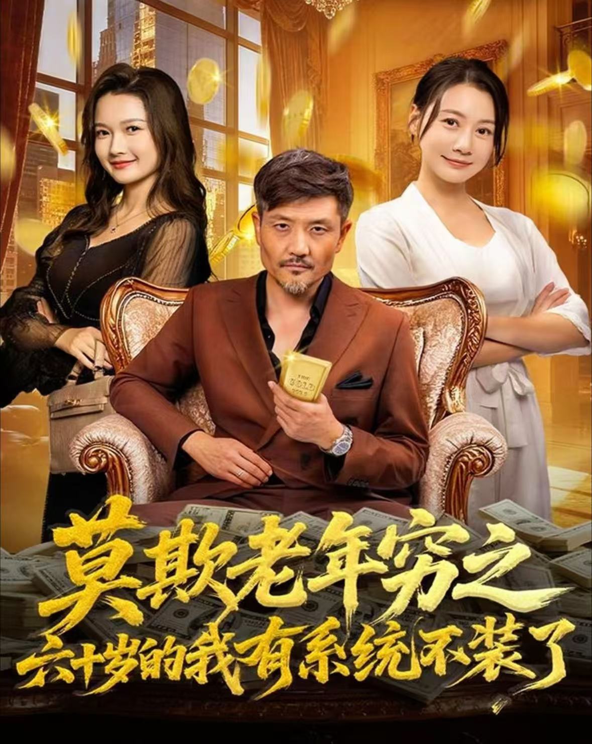 莫欺老年穷之六十岁的我有系统不装了海报