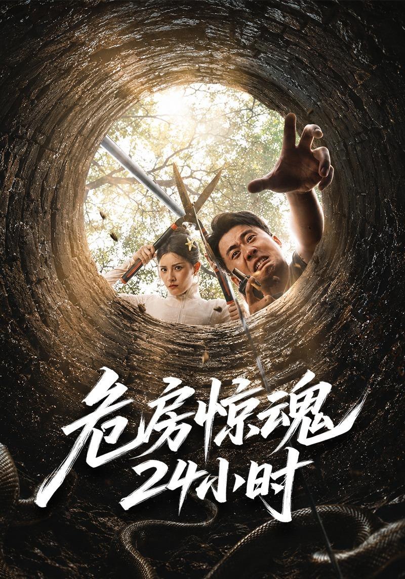 危房惊魂24小时海报