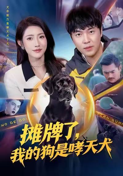 摊牌了，我的狗是哮天犬海报