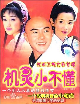 机灵小不懂粤语海报