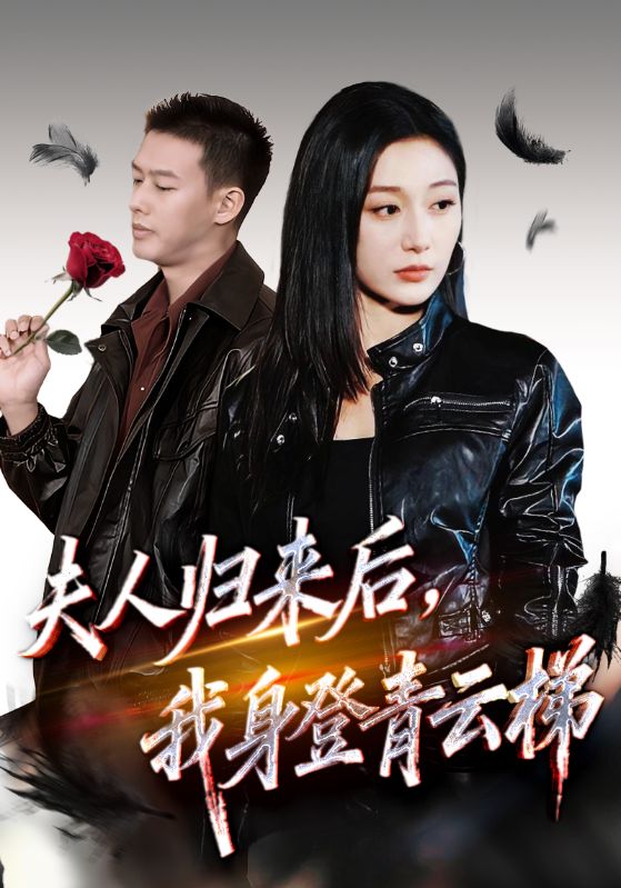 夫人归来后我身登青云梯海报