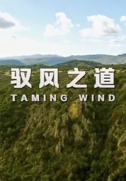 驭风之道海报