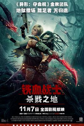铁血战士：杀戮之地海报
