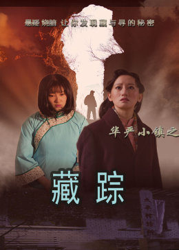 华严小镇2之藏踪海报