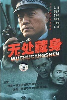 无处藏身海报