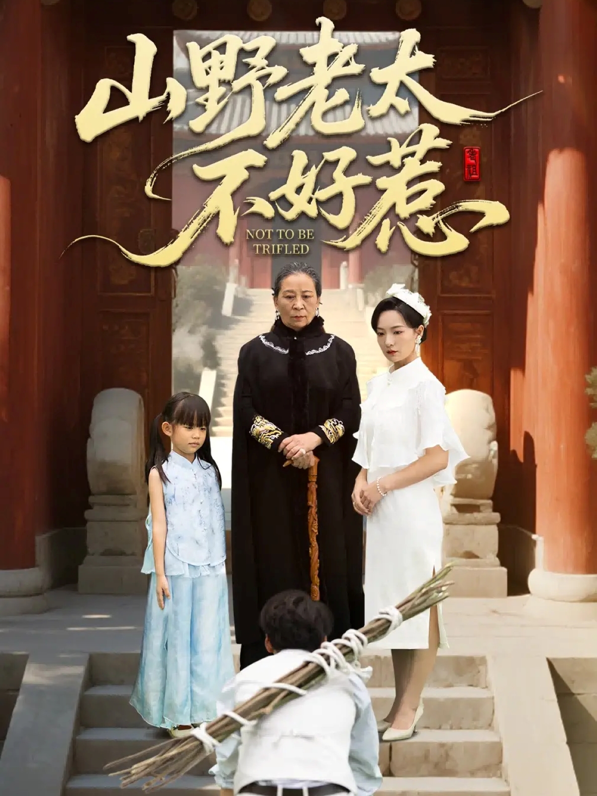 山野老太不好惹海报