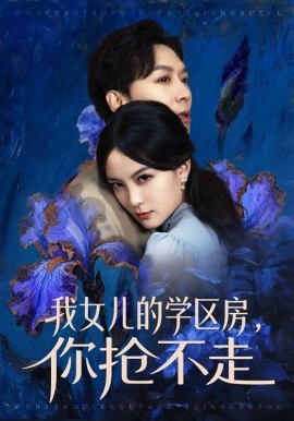 我女儿的学区房，你抢不走海报