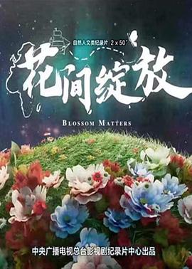 花间绽放海报