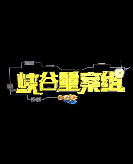 峡谷重案组 第三季海报
