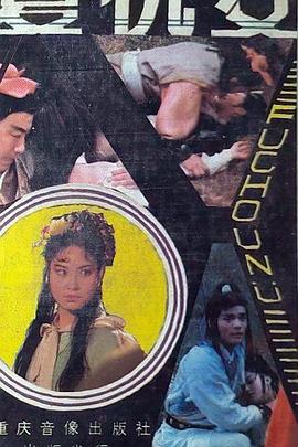 复仇女1998海报