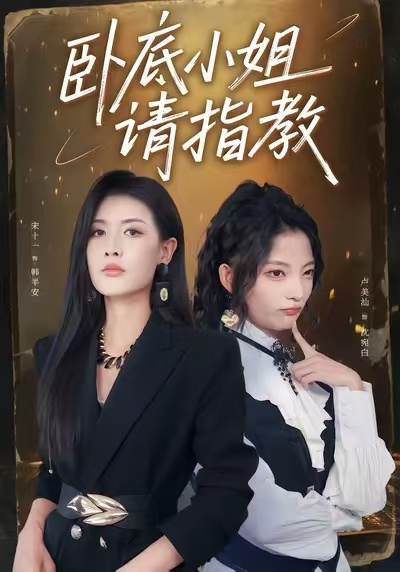 卧底小姐请指教海报