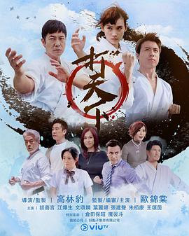 打天下粤语海报