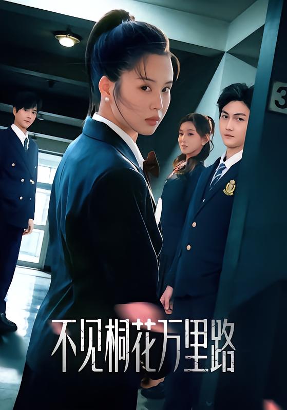 不见桐花万里路海报