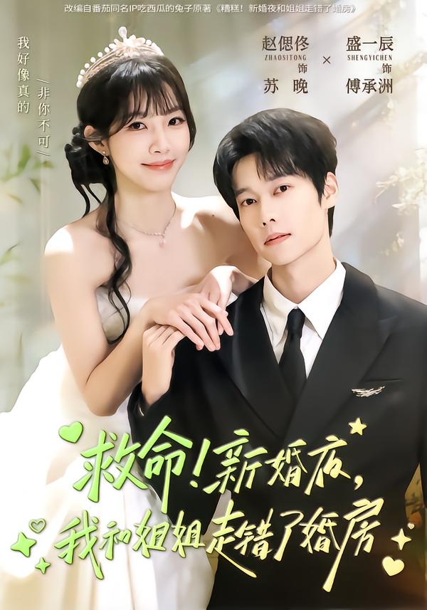 救命！新婚夜，我和姐姐走错了婚房海报