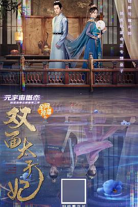 双面太子妃海报