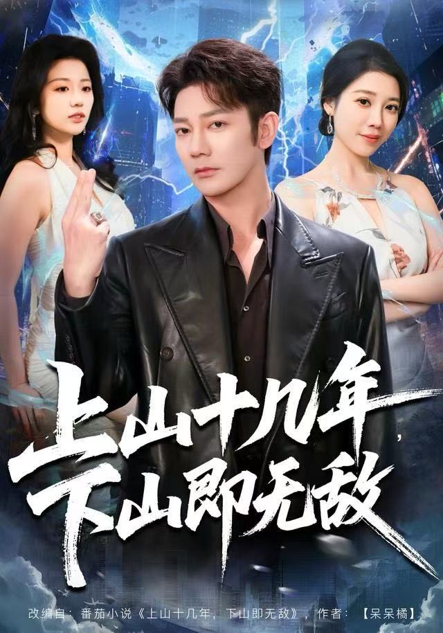 上山十几年，下山即无敌海报