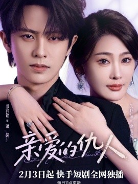 亲爱的仇人海报