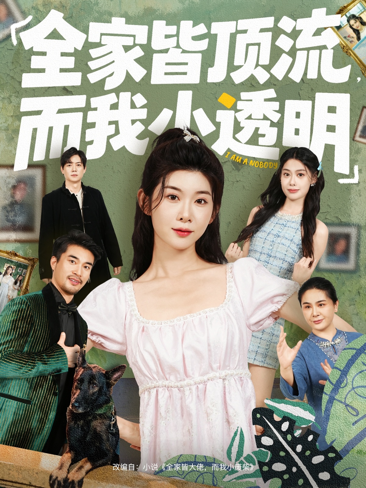 全家皆顶流，而我小透明海报