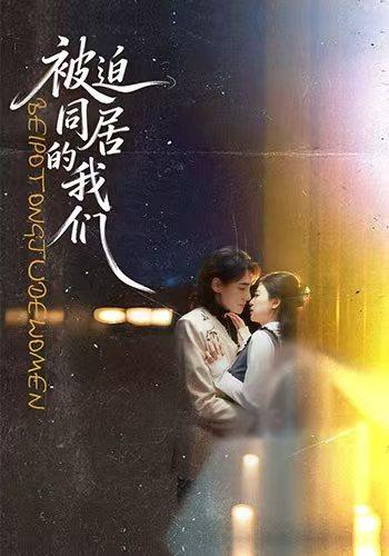 被迫同居的我们海报