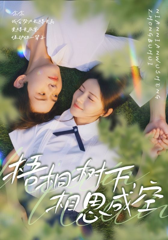 梧桐树下，相思成空海报