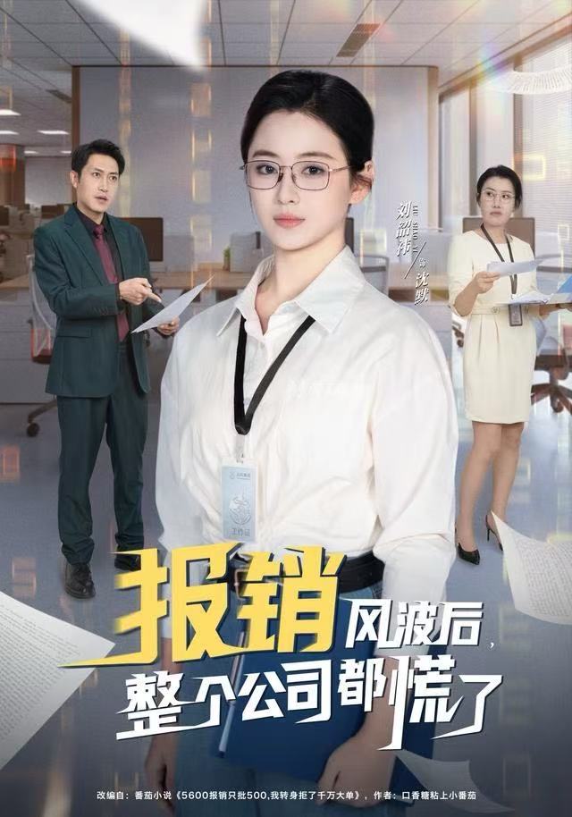 报销风波后，整个公司都慌了海报