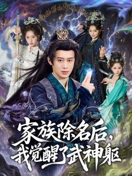 家族除名后，我觉醒了武神躯海报