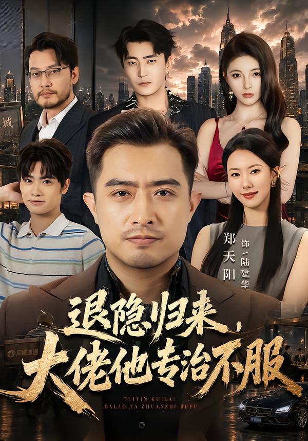 退隐归来，大佬他专治不服海报