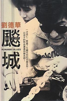 飙城国语海报
