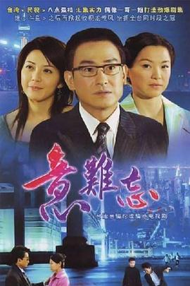 再续意难忘海报