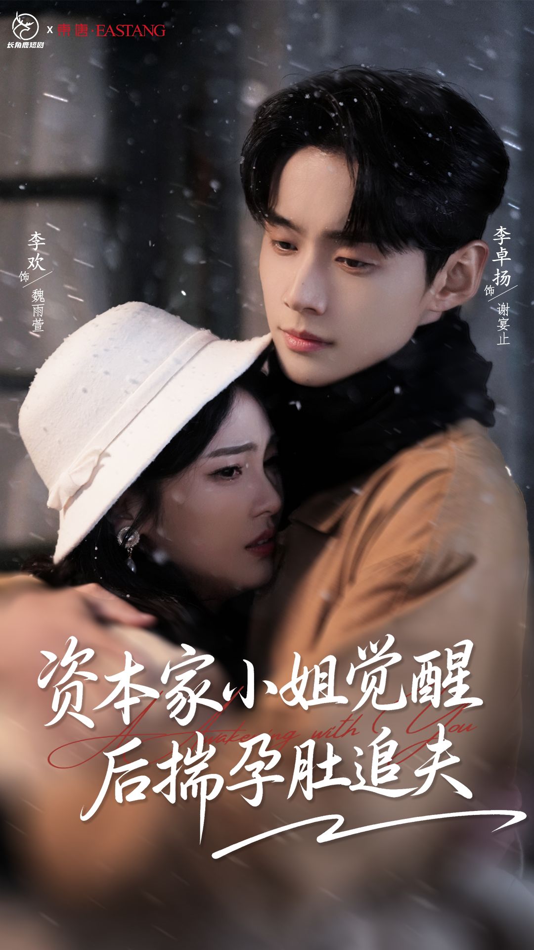 资本家小姐觉醒后揣孕肚追夫海报