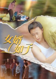 女婿如子海报