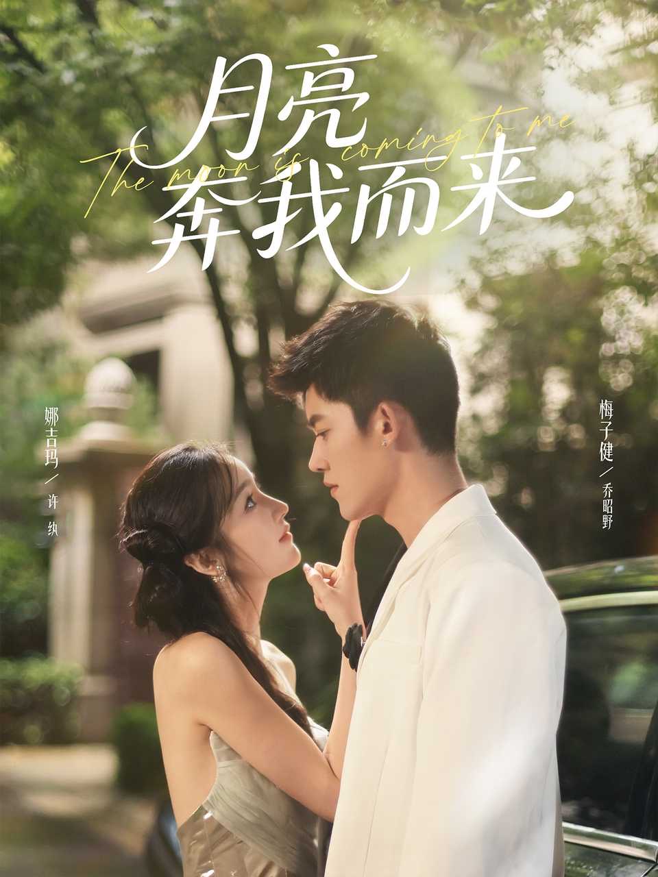 月亮奔我而来海报