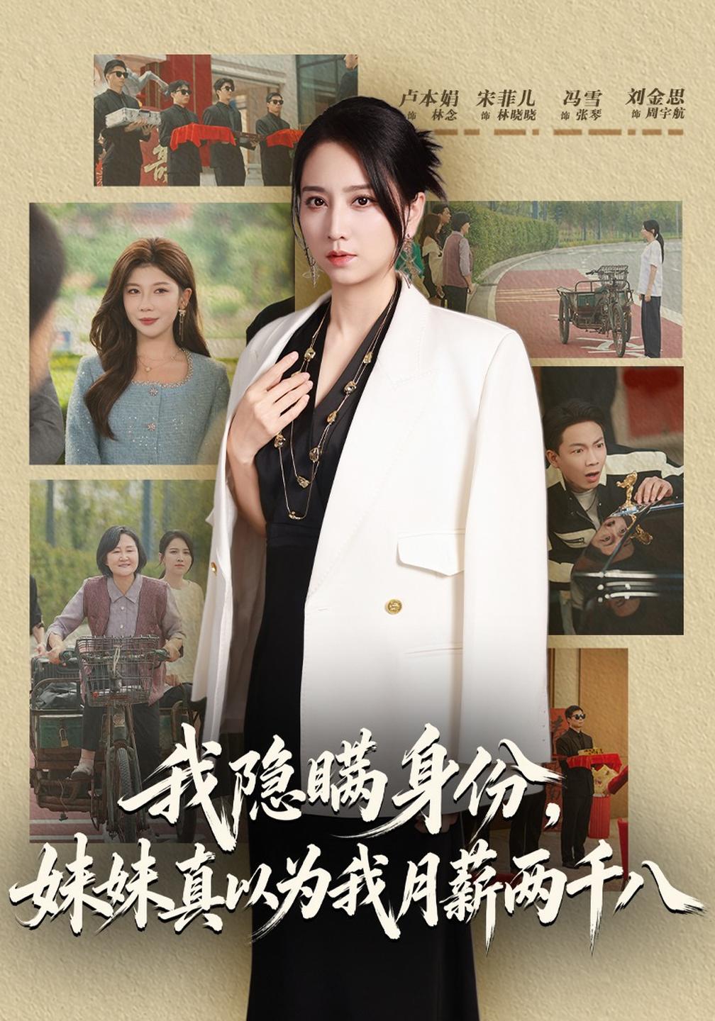 我隐瞒身份，妹妹真以为我月薪两千八海报